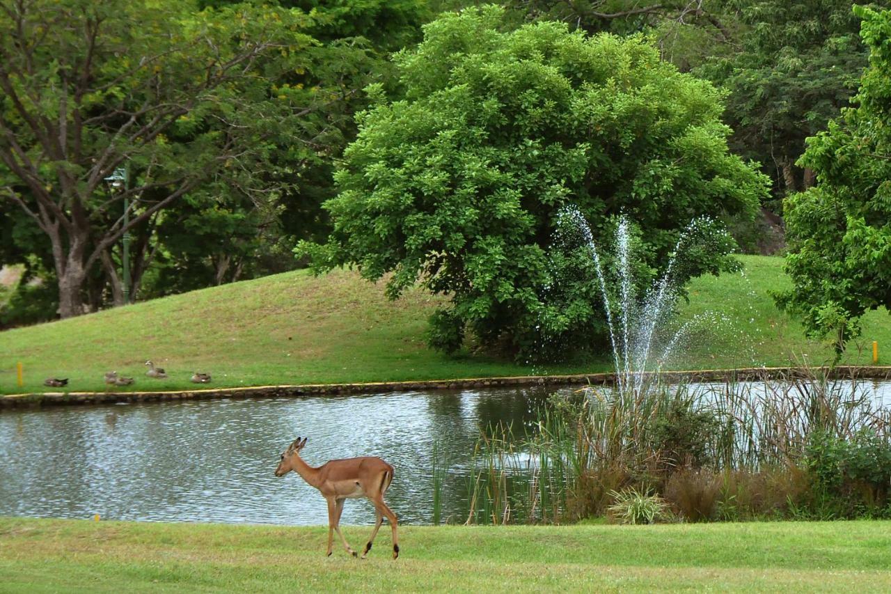 Kruger Park Lodge Unit No. 612 Hazyview Εξωτερικό φωτογραφία